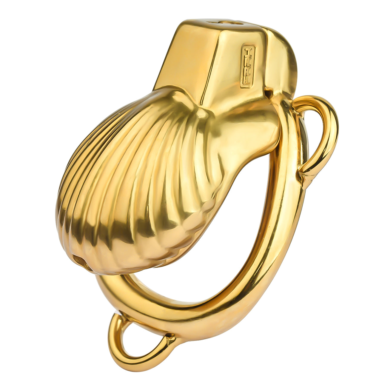 Xscockcage| Shell Chastity Cage