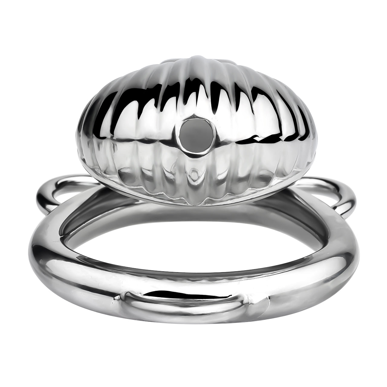 Xscockcage| Shell Chastity Cage