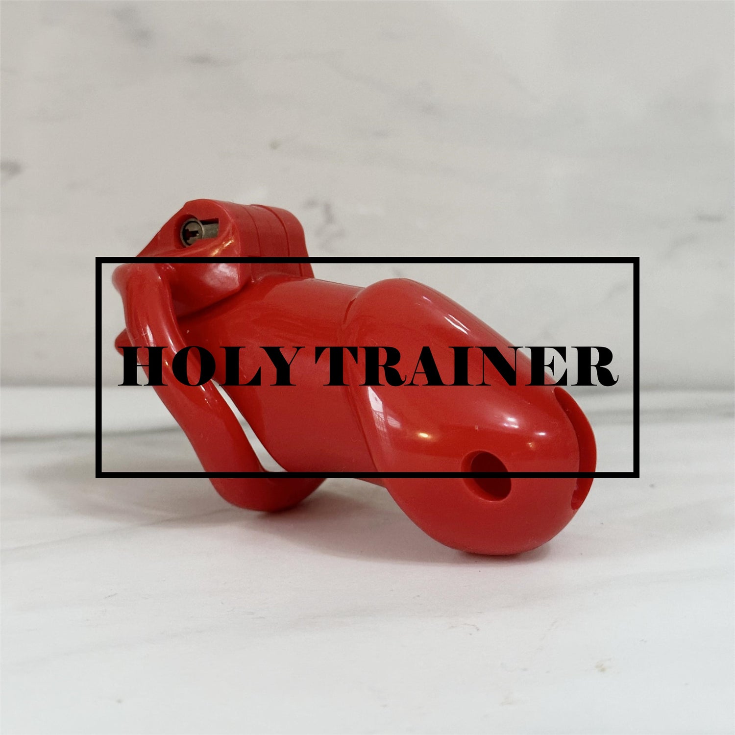 Holy Trainer