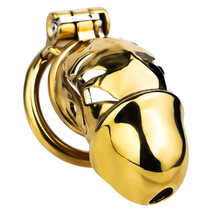 Xscockcage| Gilded Enchanting Eye Metal Hollow Lock Ring Chastity Cage