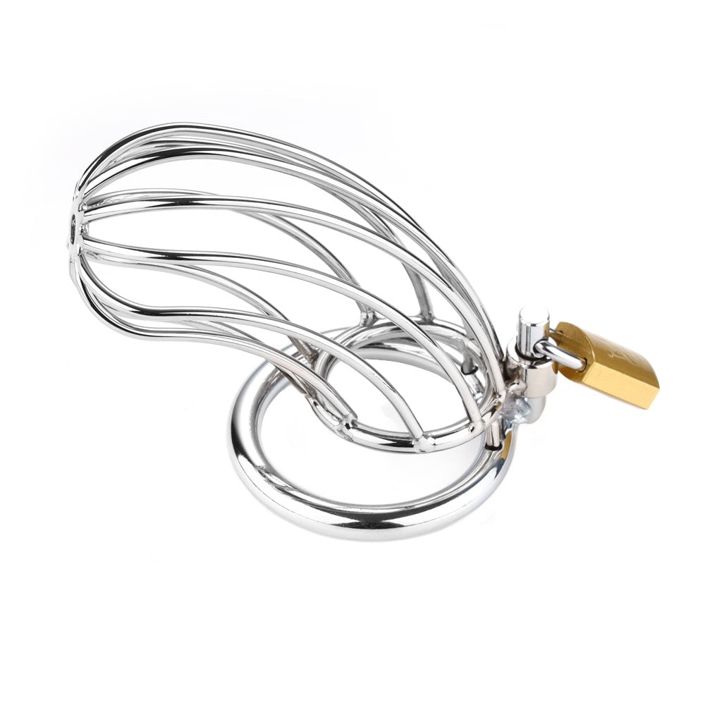 Metal Birdcage Classics Chastity Cage Small