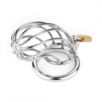 Metal Birdcage Classics Chastity Cage Small