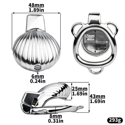 Xscockcage| Shell Chastity Cage