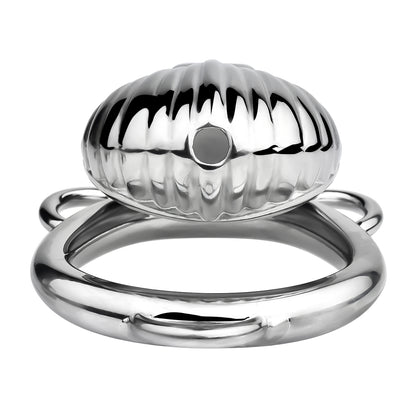 Xscockcage| Shell Chastity Cage