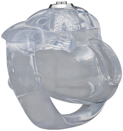 Xscockcage | Jaula de Castidad Transparente HT-V5 con Cerradura Inferior y Anillo Curvo