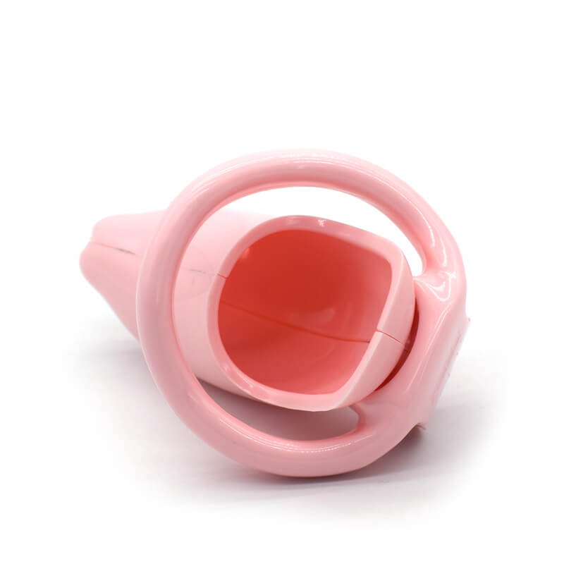 BEST  Dolphin SissyChastity Cage