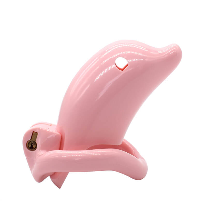 BEST  Dolphin SissyChastity Cage