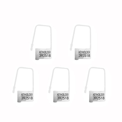 Disposable Plastic Lock 5pc